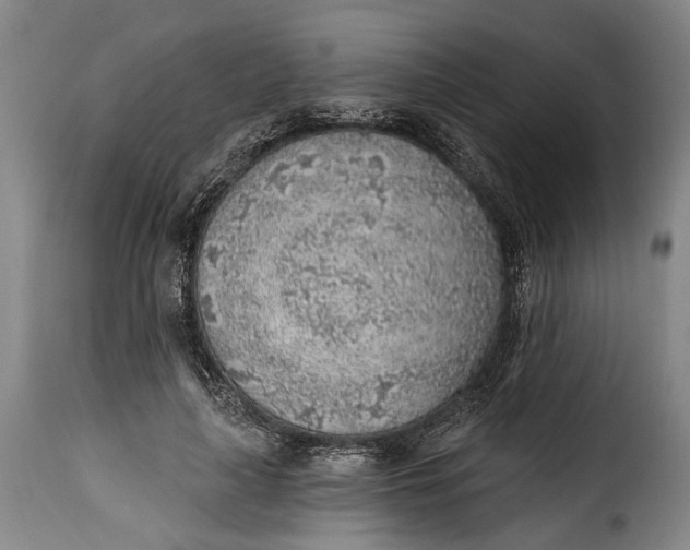 X0000115380643200911241304