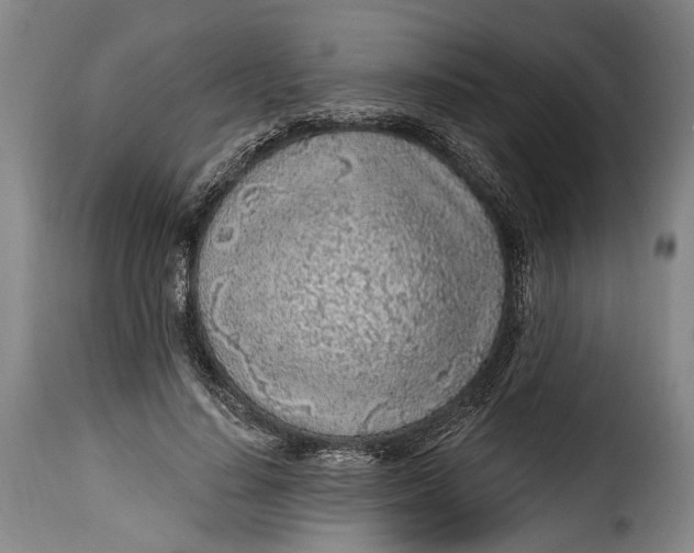 X0000115380644200911241304