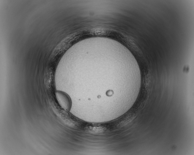 X0000115380645200911241304