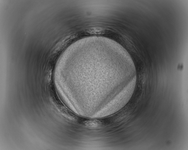 X0000115380652200911241305