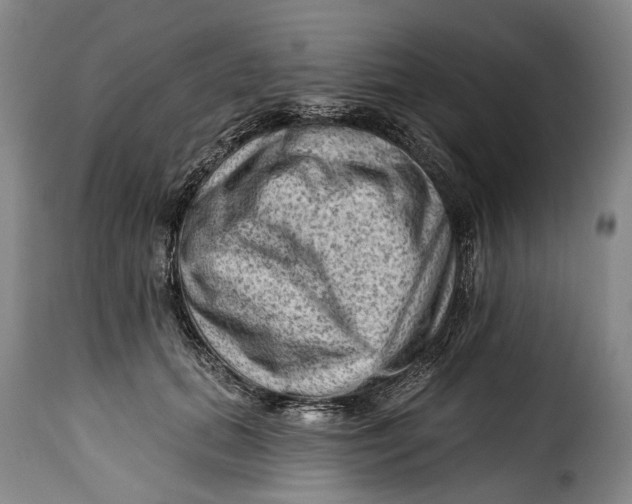 X0000115380655200911241305