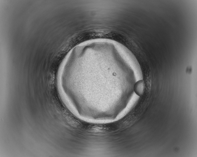 X0000115380657200911241305