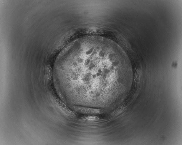 X0000115380659200911241305