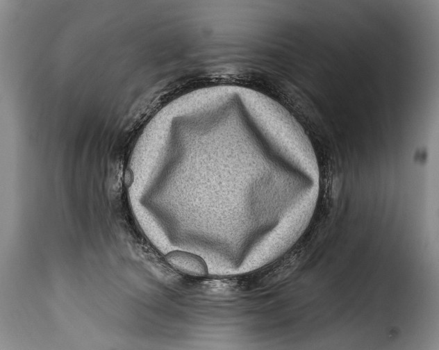 X0000115380660200911241305