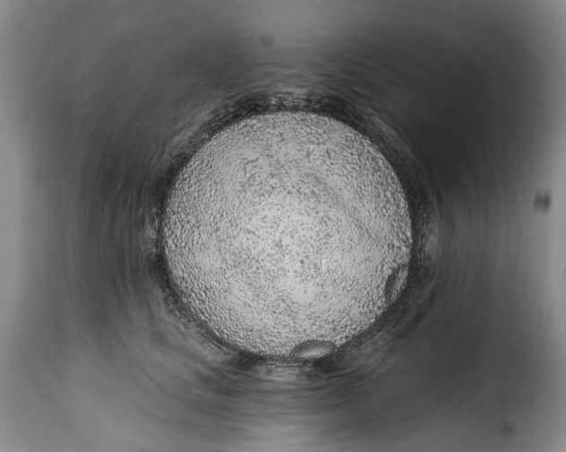 X0000115380661200911241305