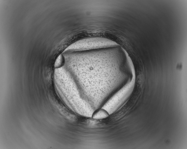 X0000115380662200911241305