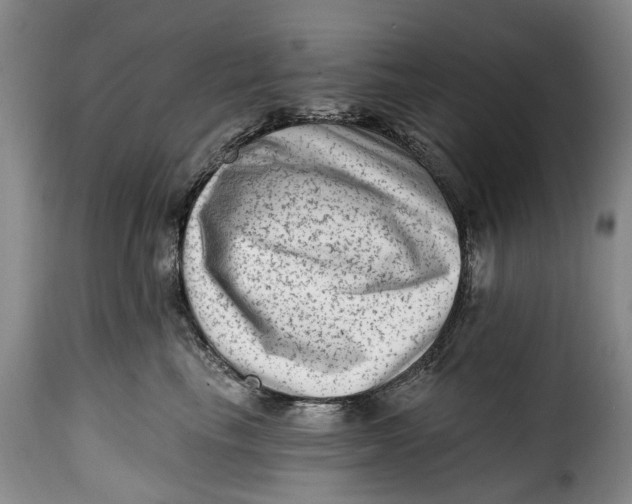 X0000115380665200911241305