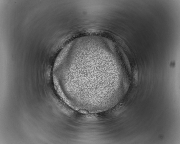 X0000115380668200911241305