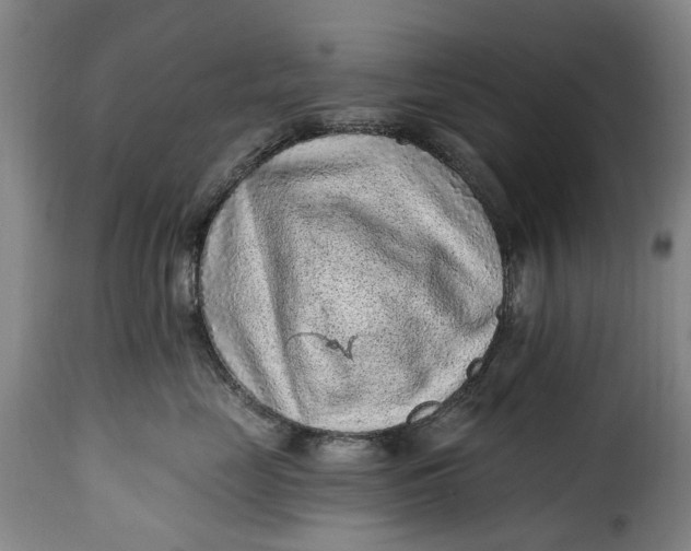 X0000115380669200911241305