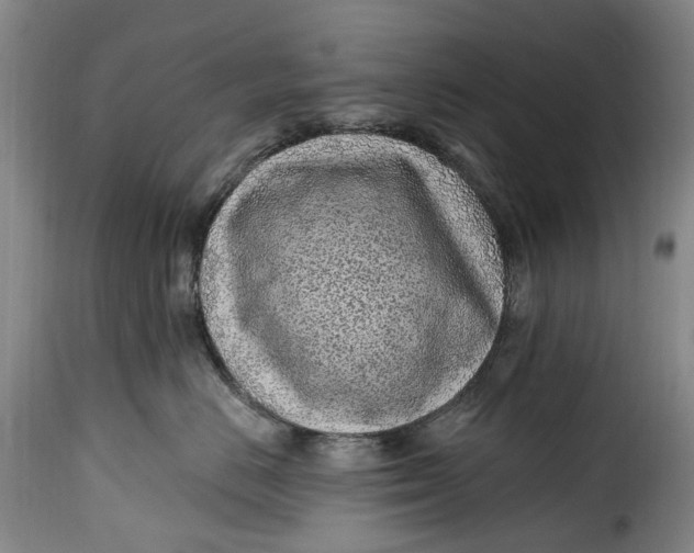 X0000115380670200911241305