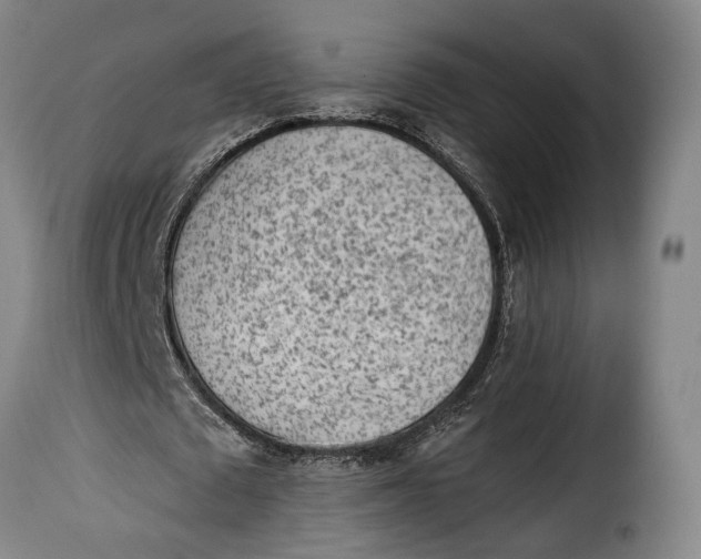 X0000115380673200911241304