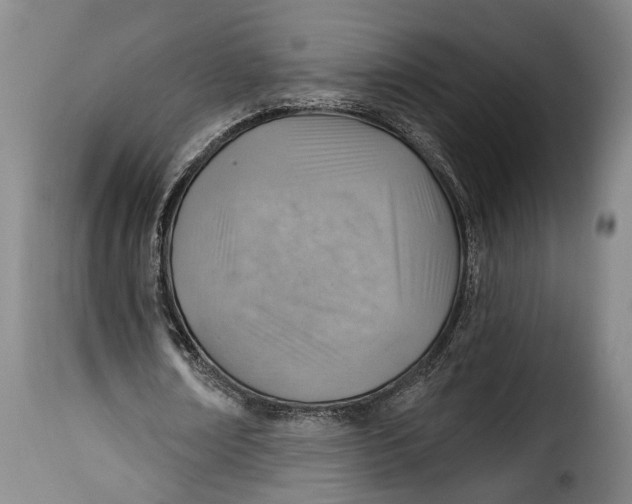 X0000115380674200911241304