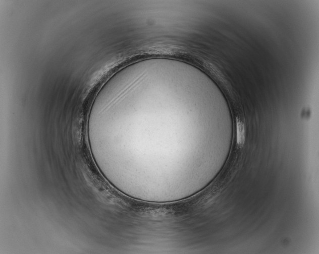 X0000115380675200911241304