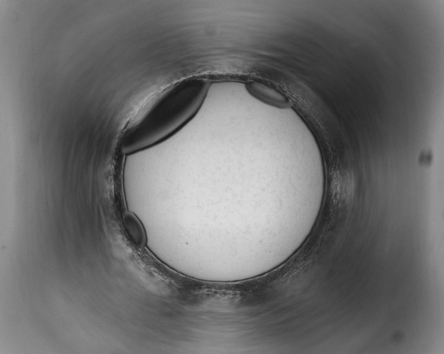 X0000115380676200911241304