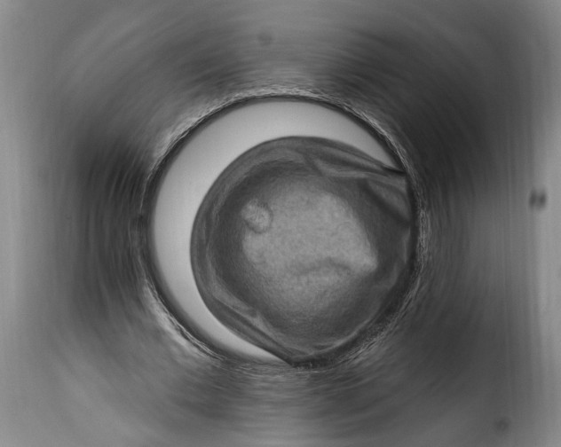 X0000115380677200911241304