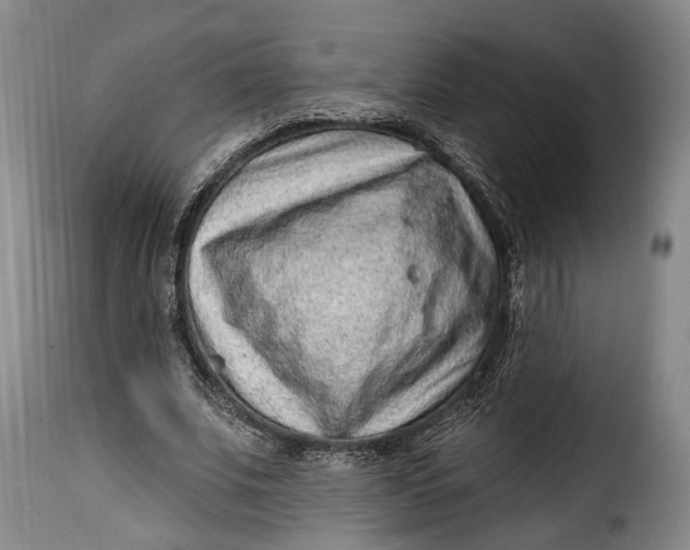 X0000115380679200911241304