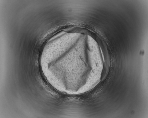 X0000115380681200911241304