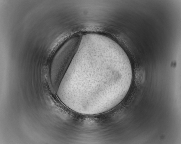 X0000115380684200911241304