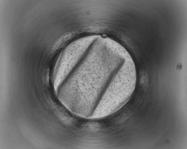 X0000115380685200911241304