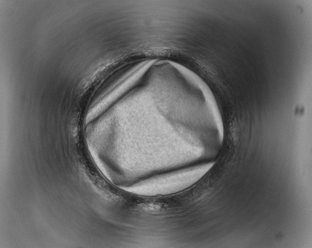 X0000115380687200911241304