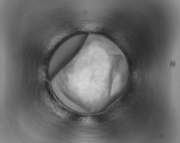 X0000115380688200911241304