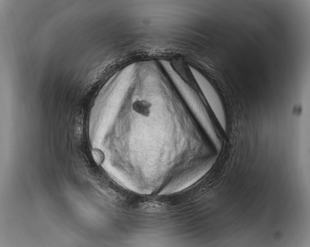 X0000115380691200911241304