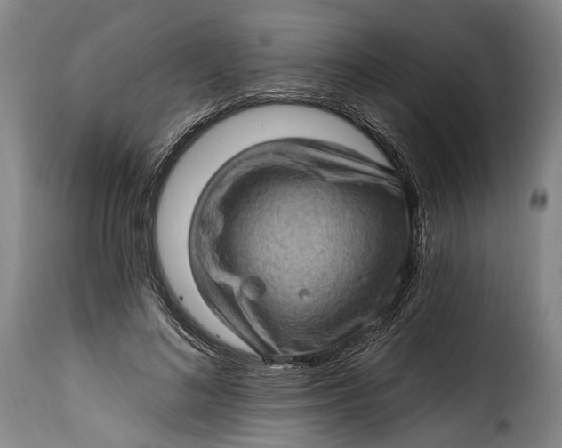 X0000115380692200911241304