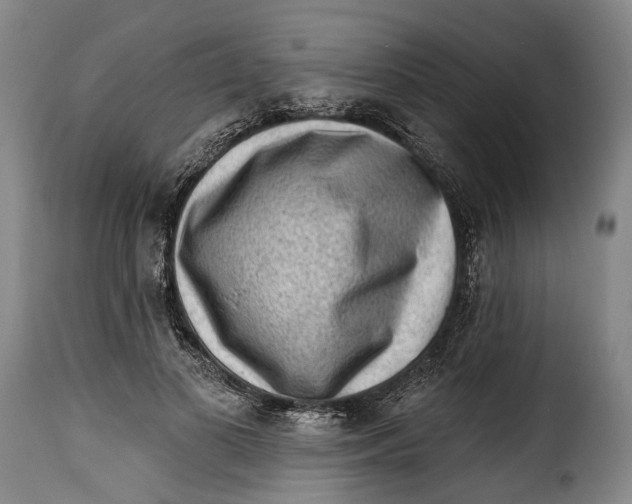 X0000115380693200911241304