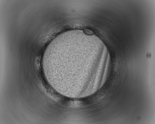 X0000115380695200911241304