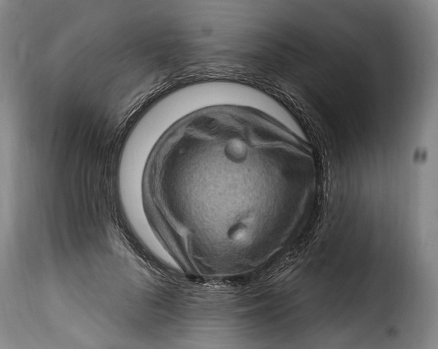 X0000115380696200911241304