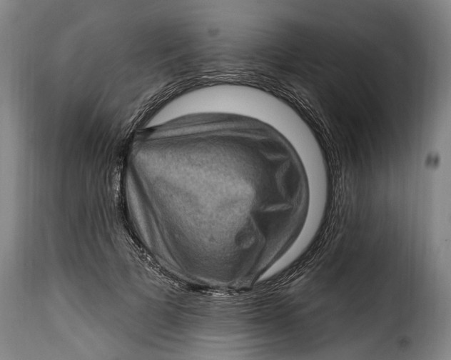 X0000115380697200911241304