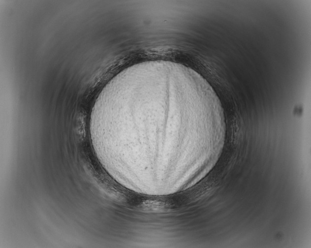 X0000115380699200911241304