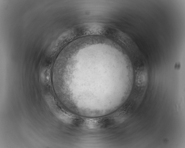 X0000115380701200911241304