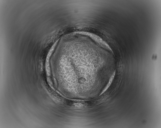 X0000115380703200911241304