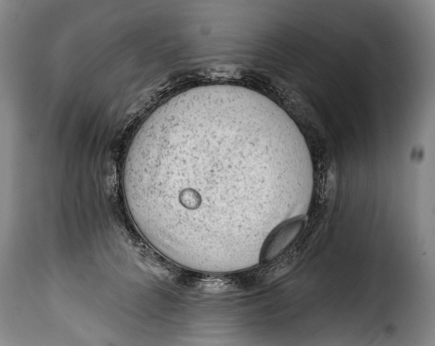 X0000115380704200911241304