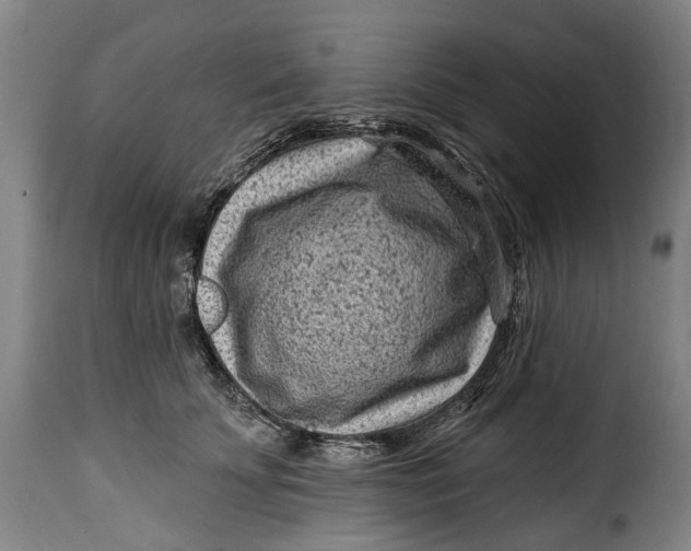 X0000115380707200911241303