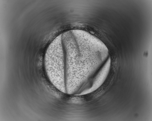 X0000115380708200911241303