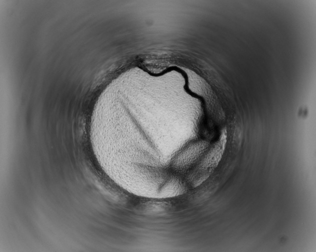 X0000115380711200911241303