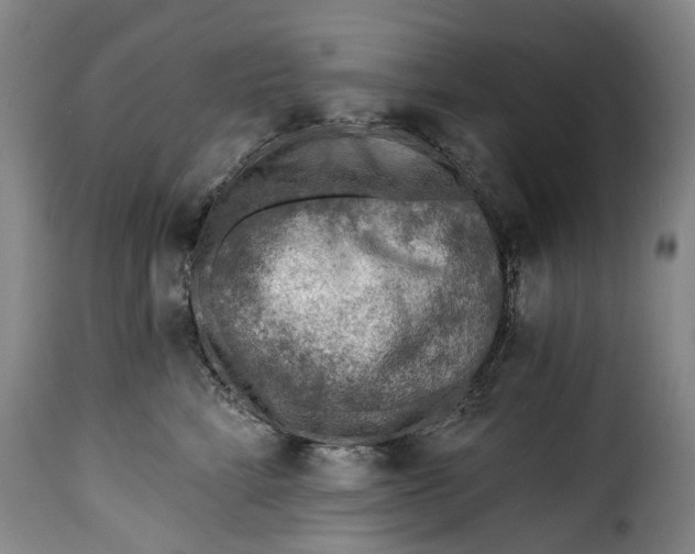 X0000115380712200911241303