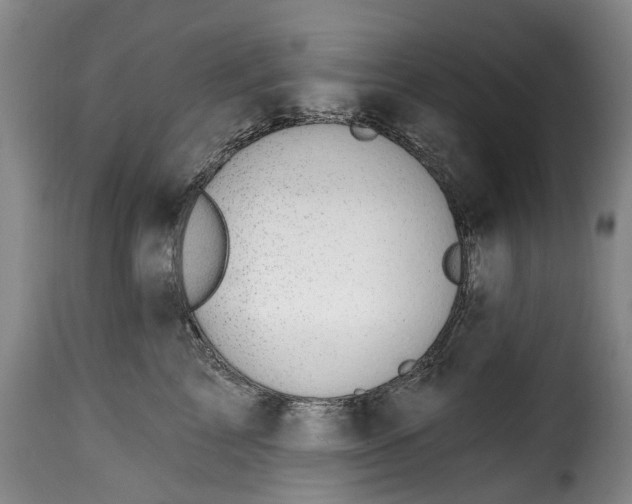 X0000115380713200911241303