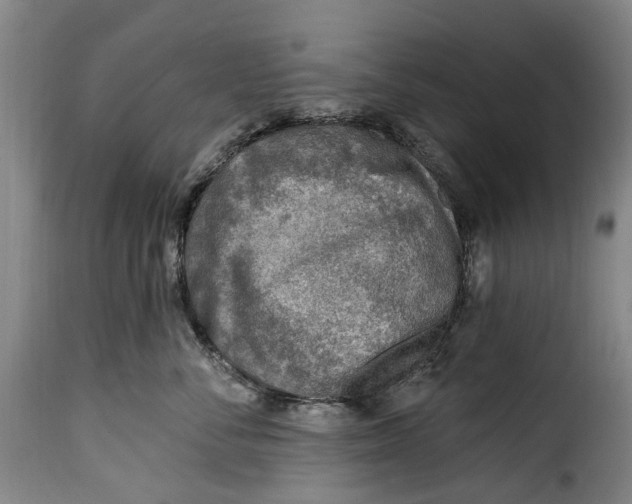 X0000115380716200911241303