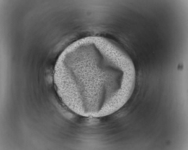 X0000115380719200911241303