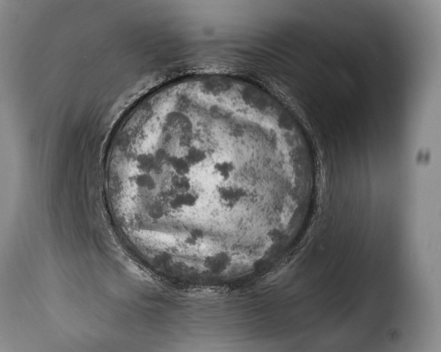 X0000115380721200911241303