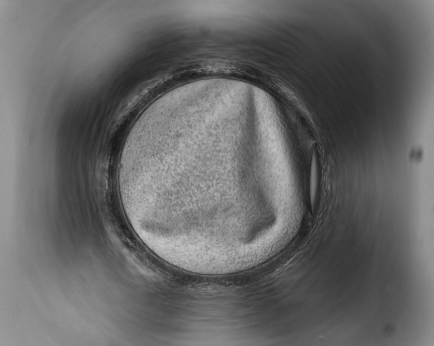 X0000115380722200911241303