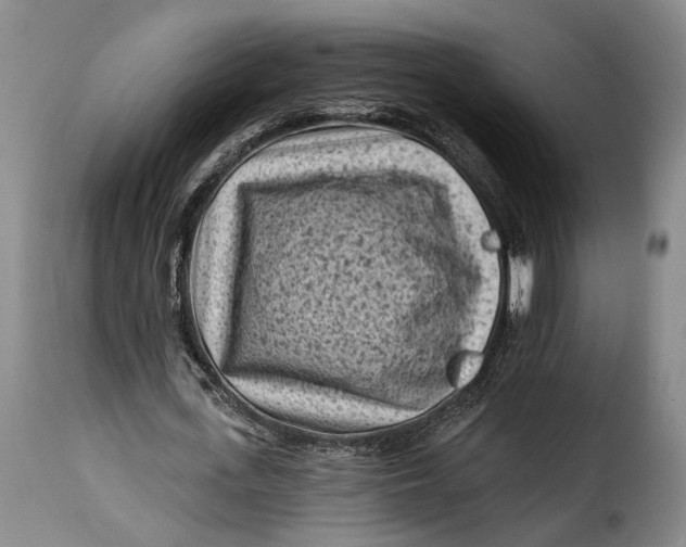 X0000115380723200911241303