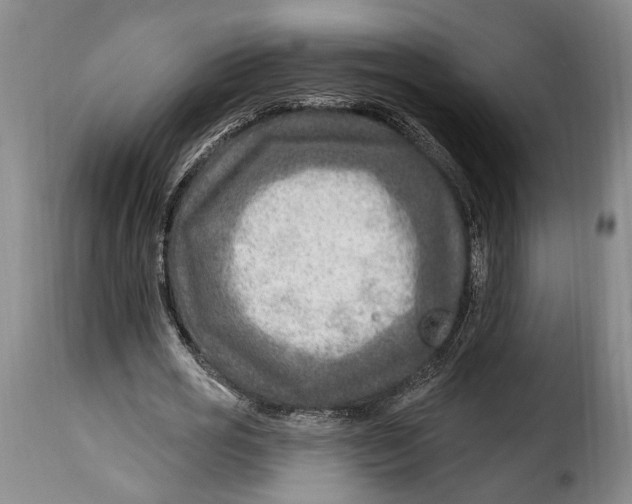 X0000115380725200911241303