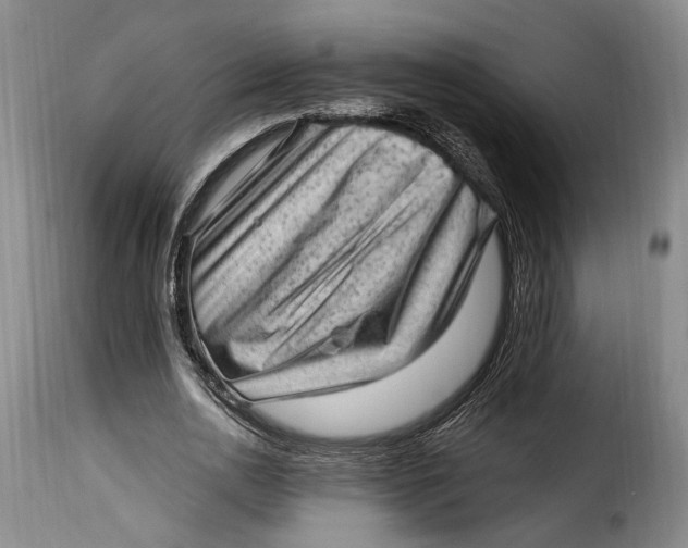 X0000115380726200911241303