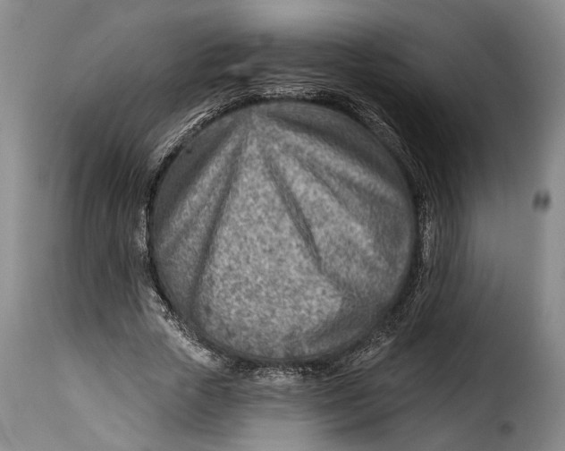 X0000115380729200911241303