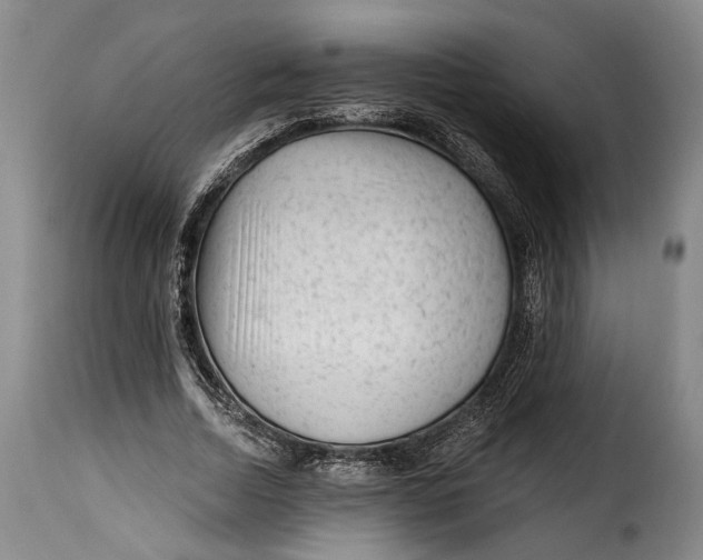 X0000115380730200911241303