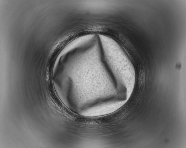 X0000115380731200911241303